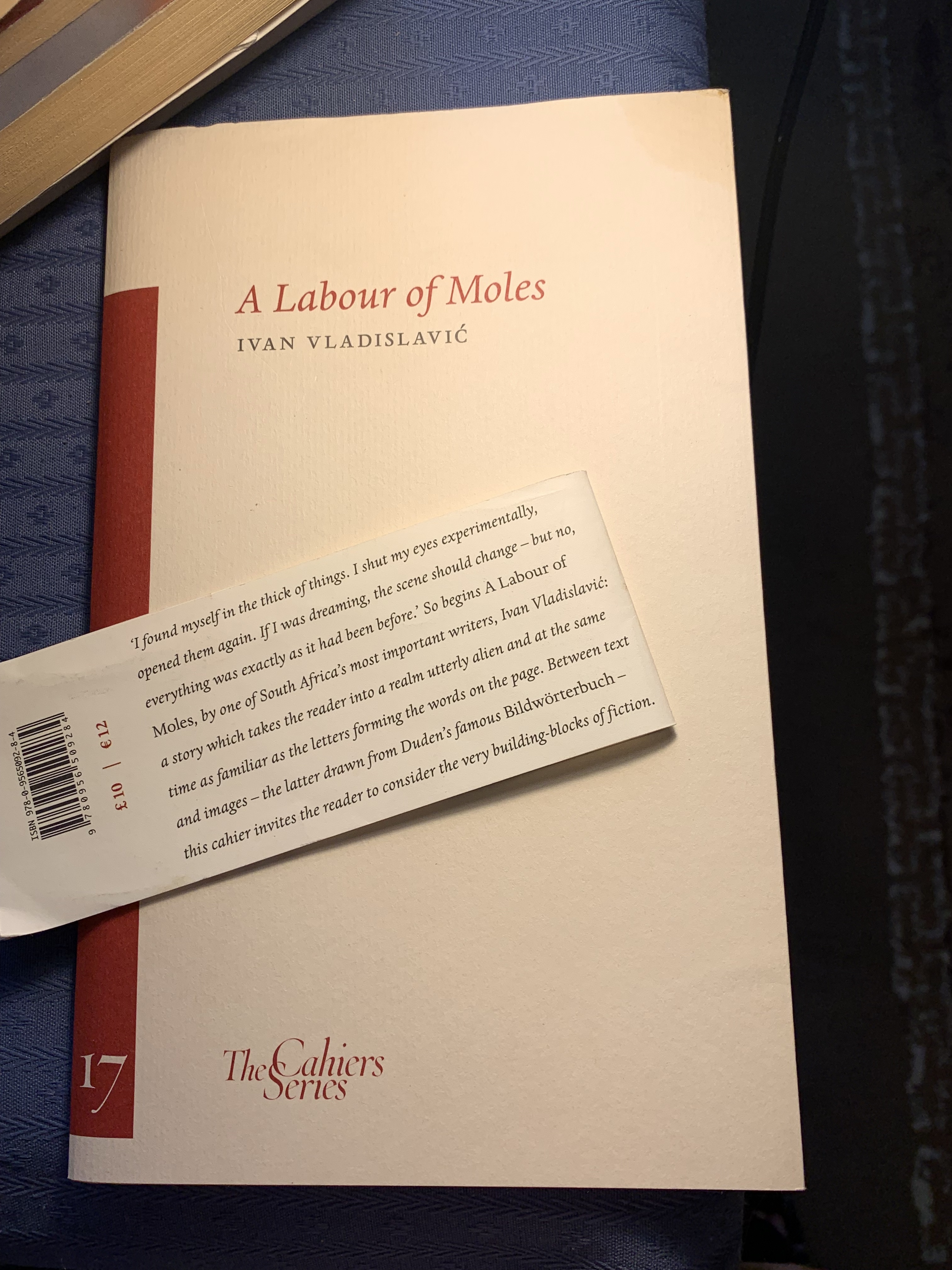 Ivan Vladislavic, 'A Labour of Moles'
