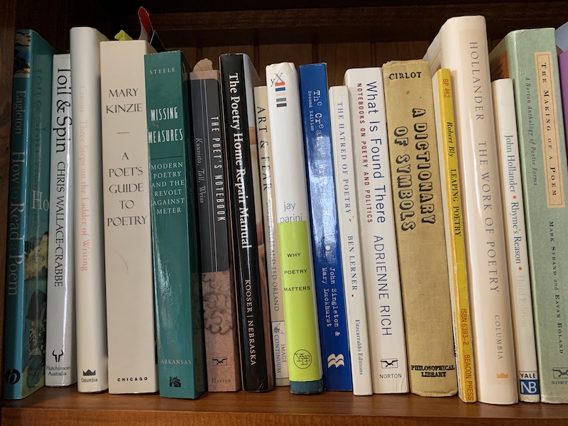 favourite bookshelf - 1